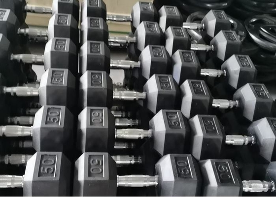 家のゴム製包まれた六角形のダンベル2のパック10LBは非筋肉のための人間工学的手の重量を入れる